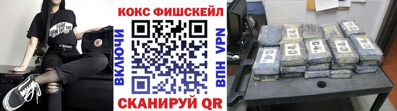 КОКАИН FishScale  Купить  Черногорск 