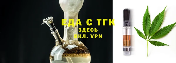 ГАЛЛЮЦИНОГЕННЫЕ ГРИБЫ Осинники