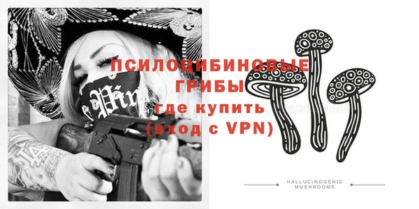 дмт Осташков