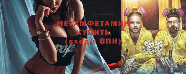 ГАЛЛЮЦИНОГЕННЫЕ ГРИБЫ Осинники