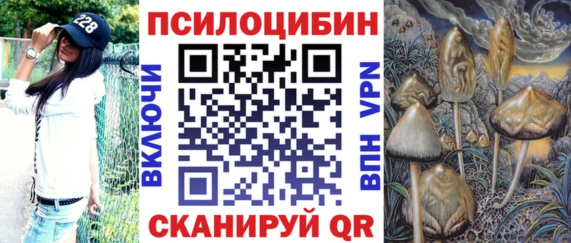 Купить где Черногорск Псилоцибиновые грибы ЛСД